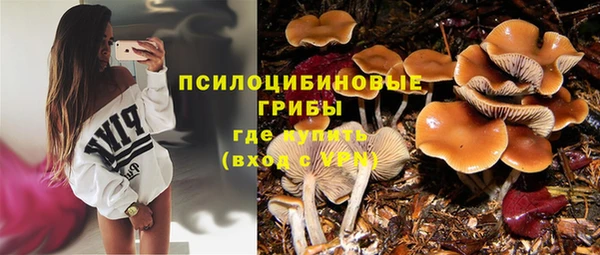 трава Алексин