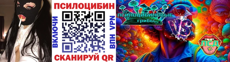 где продают наркотики  Кудрово  кракен маркетплейс  Псилоцибиновые грибы Magic Shrooms 